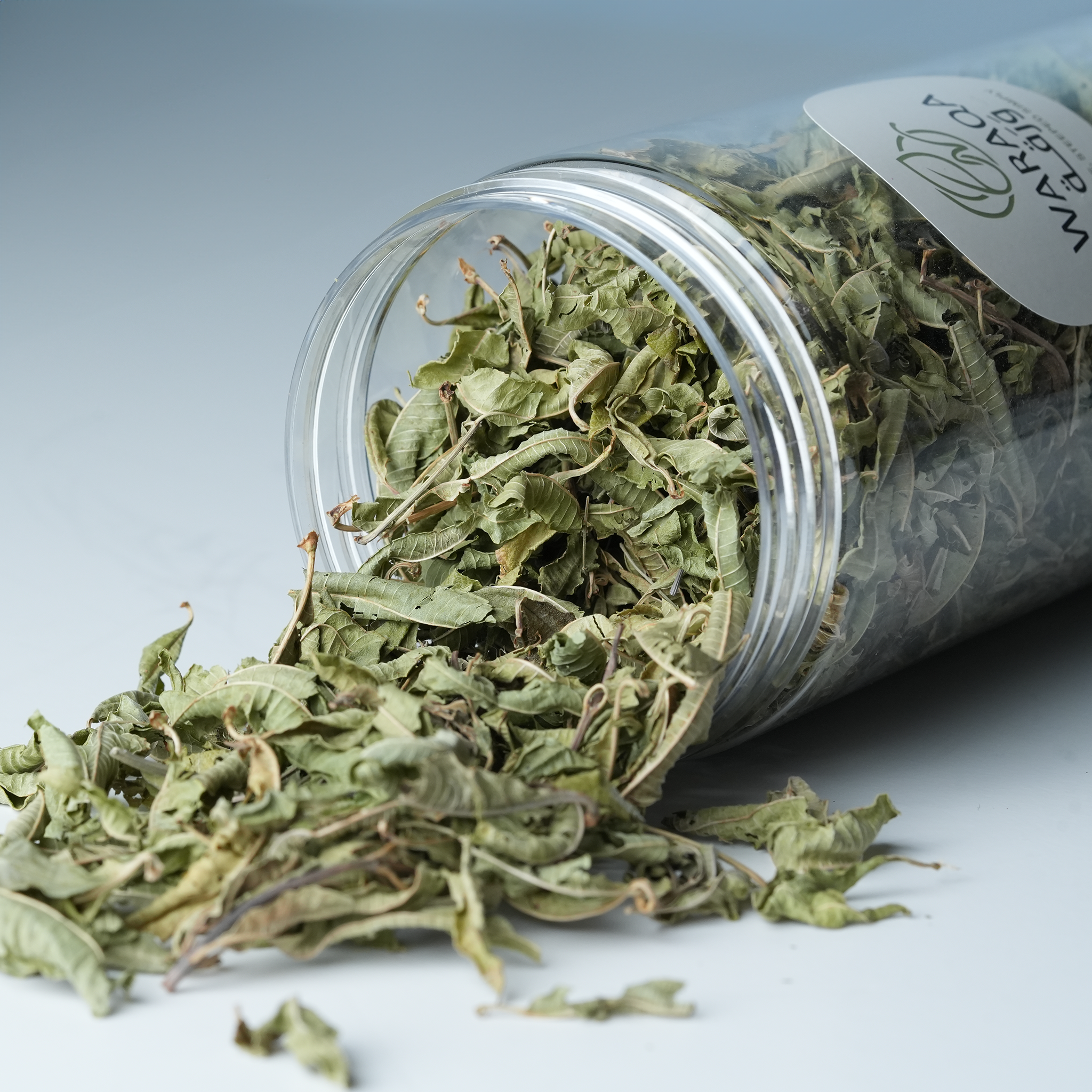 Lemon Balm — 100g